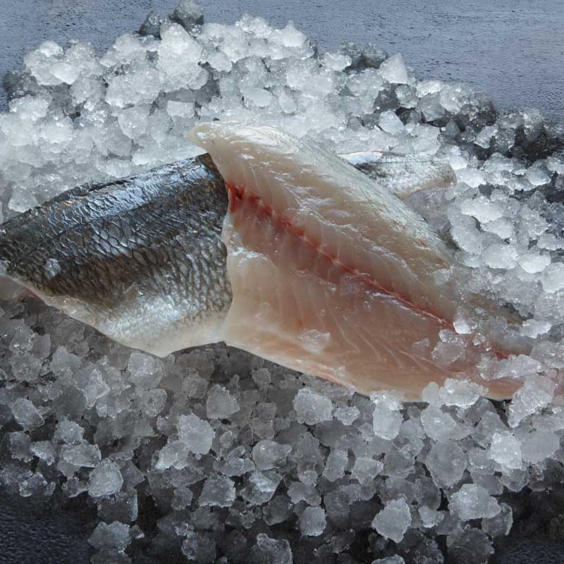 ORADA