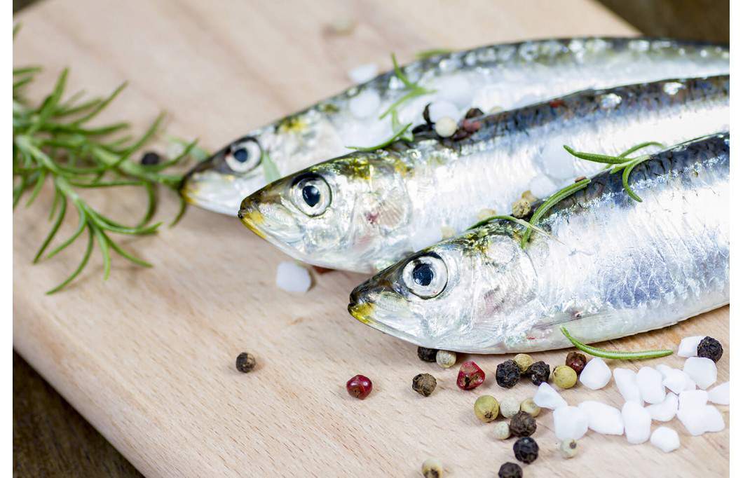 sardinas-gallegas
